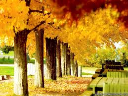 Auto Transport in New Brunswick