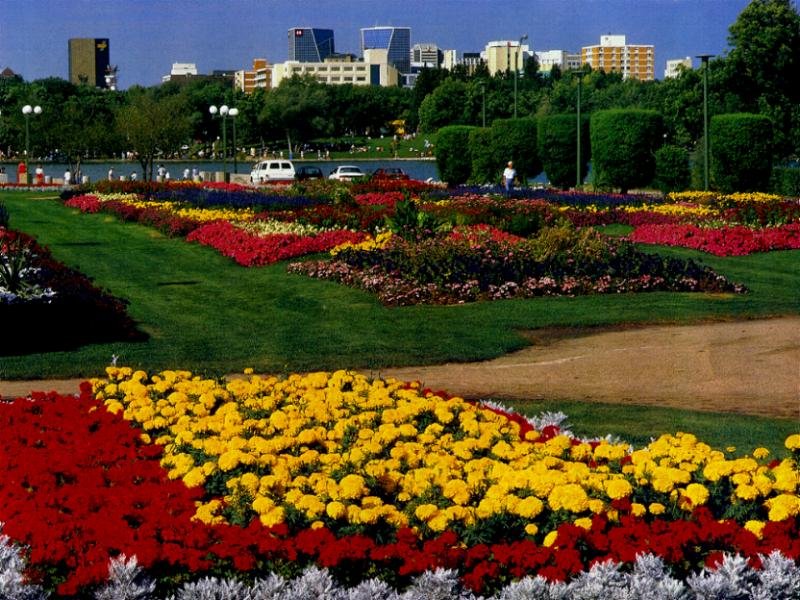 Car Shipping in Regina