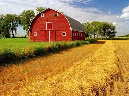 Auto Shipping Service in Manitoba