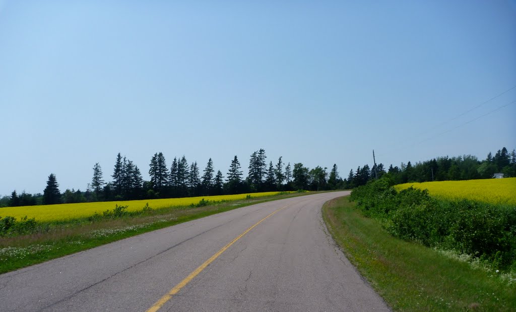 Reliable Auto Carrier in Prince Edward