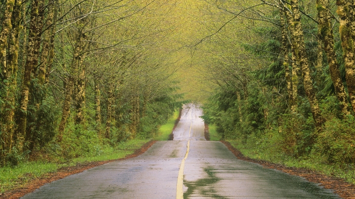 Vehicle Shipping in British Columbia, Canada